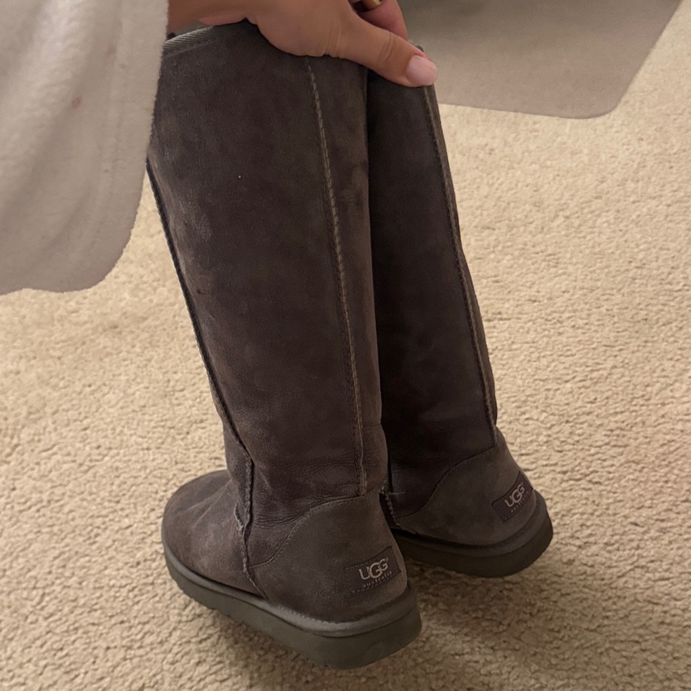 UGG Women's Charcoal Suede/Grey Winter Boots